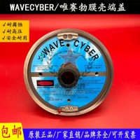 唯赛勃ro反渗透膜壳端盖WAVE-300P-8