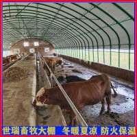 新型牛舍大棚搭建 养牛大棚建设 肉牛养殖棚安装