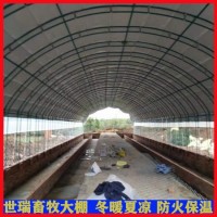 肉鸭养殖大棚建设 养鸭舍大棚搭建 笼养鸭棚安装